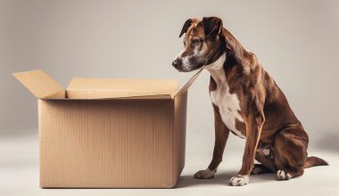 Lost packages