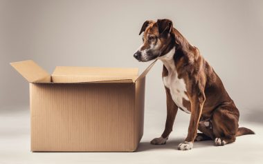 Lost packages